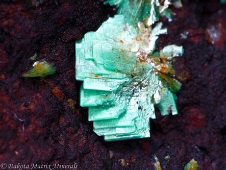 Torbernite Mineral Specimen For Sale