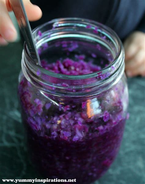 Purple Sauerkraut Fermentation