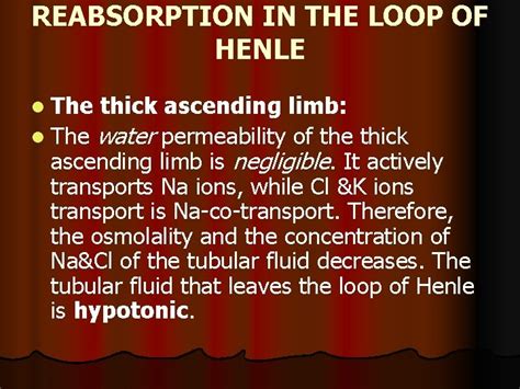 REABSORPTION IN THE LOOP OF HENLE The thin