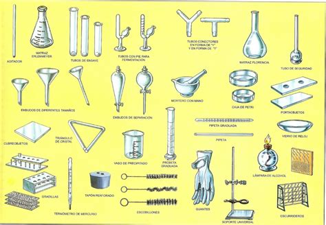 Tema 1: La ciencia investiga en 2023 | Materiales de laboratorio, Laboratorio de biologia ...