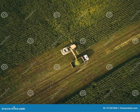 Machines Harvesting Corn in the Field. Aerial Drone Shot. Stock Photo - Image of rural ...