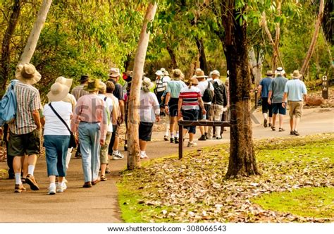 Group Old Healthy People Walking Nature Stock Photo (Edit Now) 308066543