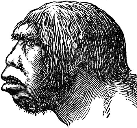 Neanderthal Man | ClipArt ETC