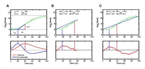 Strategy to fit Gompertz function parameters on a simulated growth... | Download Scientific Diagram