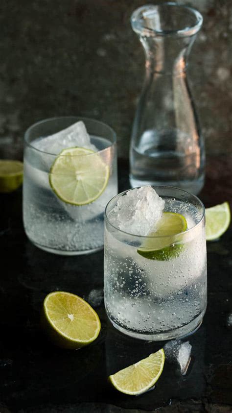 24 Gin and Tonic Recipes that Transform the Classic - An Unblurred Lady