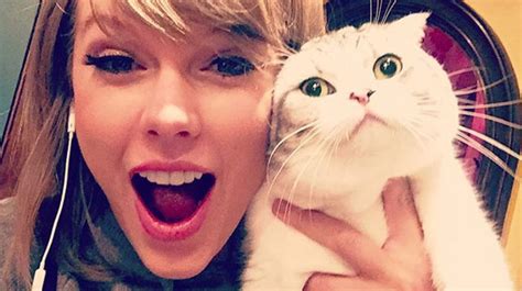 9 Celebrities Who Really, Really Love Their Cats