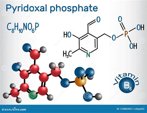 Pyridoxal Phosphate PLP, Pyridoxal 5`-phosphate, P5P, Vitamin Stock ...