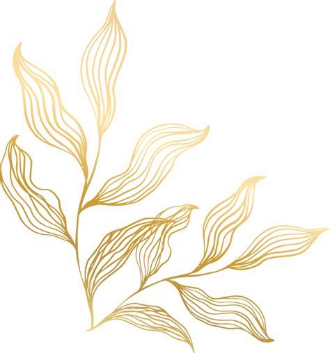 Free Gold Leaf Line 12414923 PNG with Transparent Background