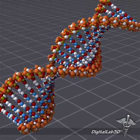 3D Dna Model Materials