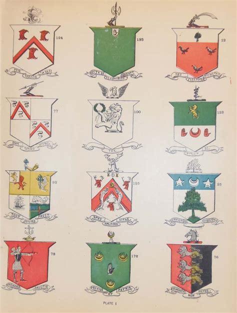 Irish Family Coat of Arms 1902 Plate 1 | Antico Gallery