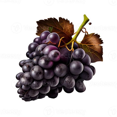 Bunch of grapes on png transparent background 22430911 PNG