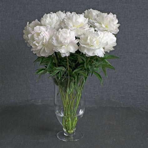 White Peony Bouquet | White Flower Farm