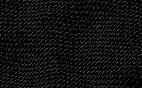 Black Snake Skin Wallpaper - WallpaperSafari