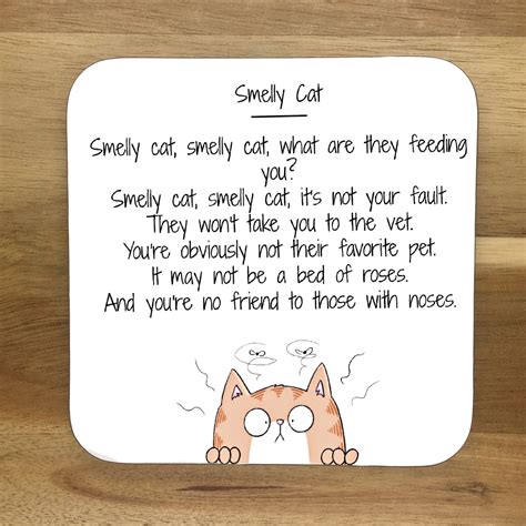 Phoebe Buffay Smelly Cat