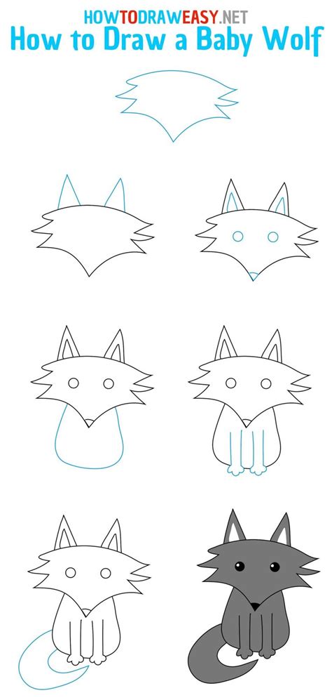 Step-by-Step Guide to Drawing a Baby Wolf