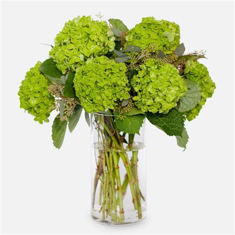 Emerald Green Hydrangea Bouquet - Flower Delivery NYC - plantshed.com