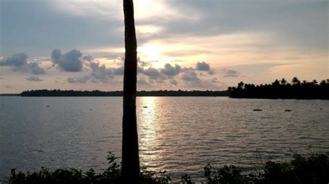 Backwaters Sunsetsilhouette Sunset Vembanad Lakesunset Over Stock ...