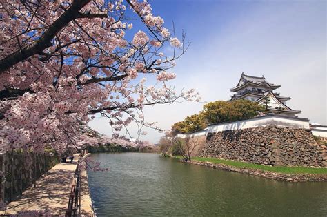 10 Best Cherry Blossom Spots in the Osaka Neighborhood - Where are ...