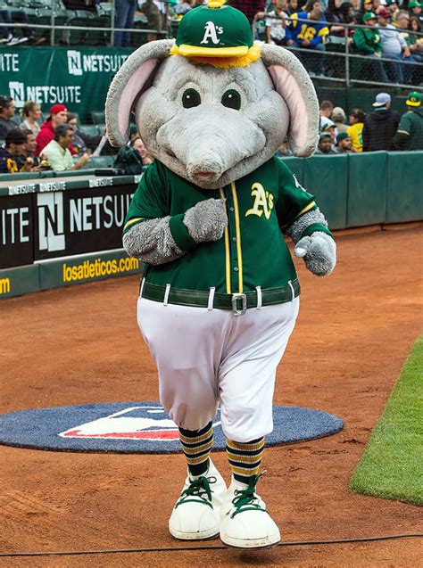 Ranking the MLB Mascots - Sports Illustrated