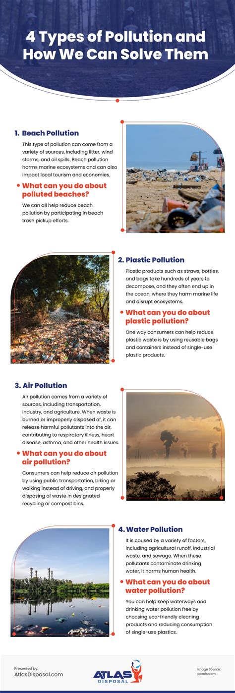 4 Types of Pollution and How We Can Solve Them Infographic