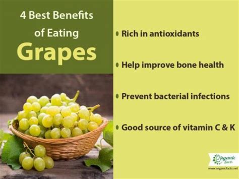 11 Proven Benefits of Grapes | Organic Facts