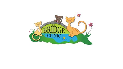 The Bridge Clinic