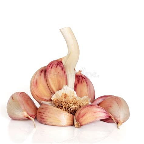 Garlic Cloves stock photo. Image of clove, seasoning - 12351562