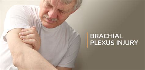 Brachial Plexus - Physioline