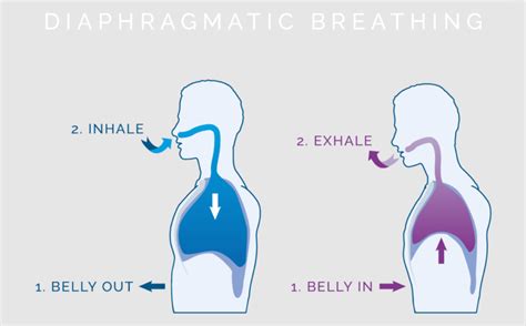 Diaphragmatic Breathing: Why is it Important? | dr