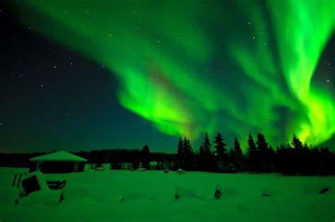 UNESCO to investigate Wood Buffalo National Park | Fort McMurray Today