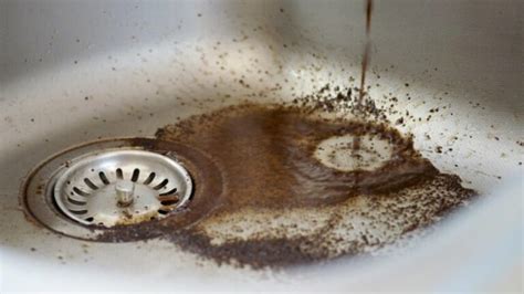 Can You Put Coffee Grounds Down The Garbage Disposal? 7 Steps