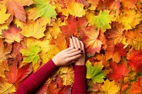Autumn nails 2020: You should know these nail trends for autumn and winter 2020/21! - Decor ...