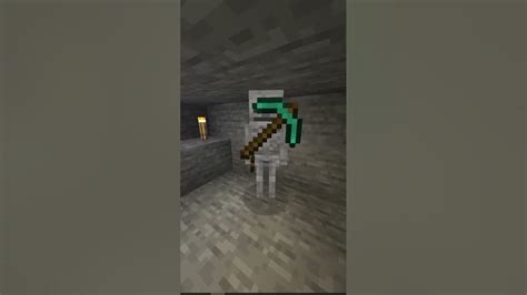 POV that skeleton in Minecraft #shorts #meme #meems - YouTube