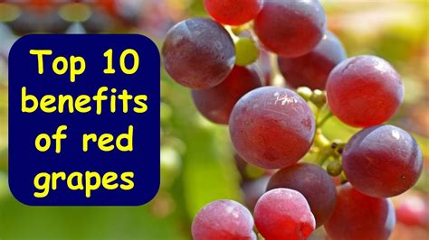 Top 10 Health Benefits of Eating Red Grapes | Nutritional Facts of Red ...