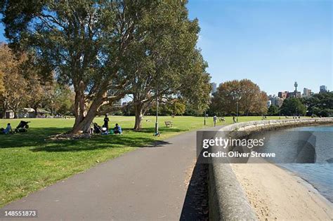 290 Rushcutters Bay Park Stock Photos, High-Res Pictures, and Images ...