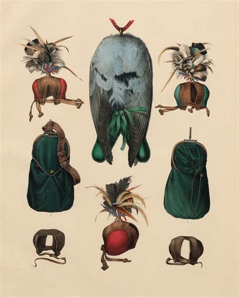 BibliOdyssey: Falconry