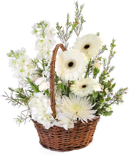 Pristine White Basket Floral Arrangement in Spring, TX - Chloe's Flowers