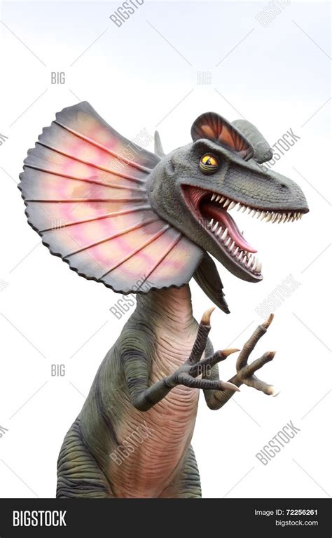 Dilophosaurus Spitter Image & Photo (Free Trial) | Bigstock