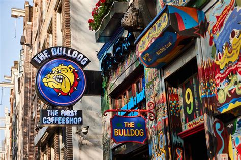 The history of The Bulldog | The Bulldog