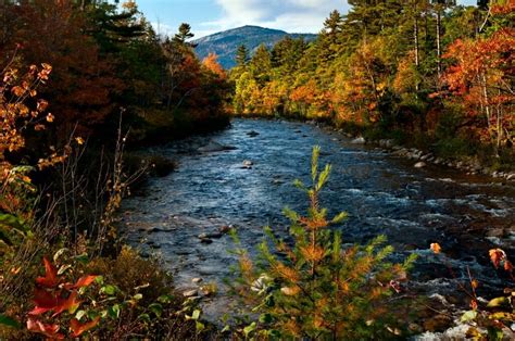 Leaf-Peeping Maine and Other Regional New England Fall Foliage