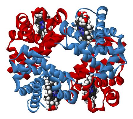 Scientific Models | Definition, Types & Examples - Lesson | Study.com