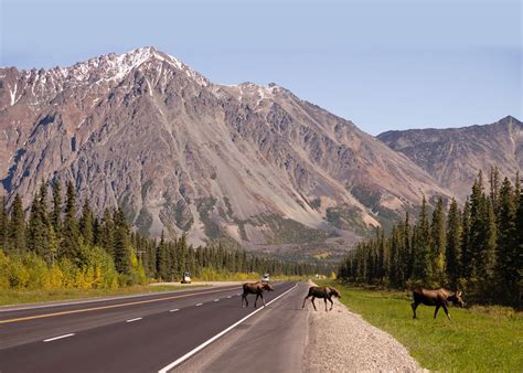 Denali Road Tour, Alaska | Audley Travel