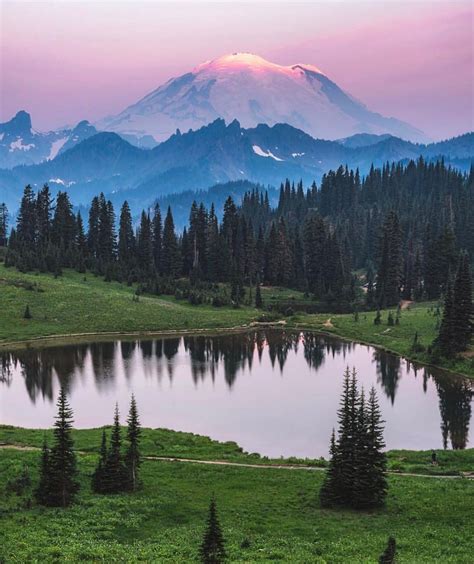 Wilderness Culture on Instagram: “Mount Rainier is the highest mountain of the Cascade … | Mount ...