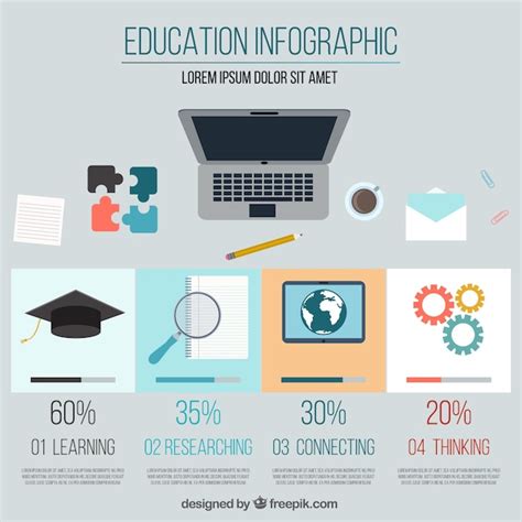 Free Vector | Education infographic template