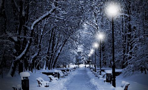 photography, Nature, Winter, Trees, Snow, Bench, Night, Lights, Park Wallpapers HD / Desktop and ...