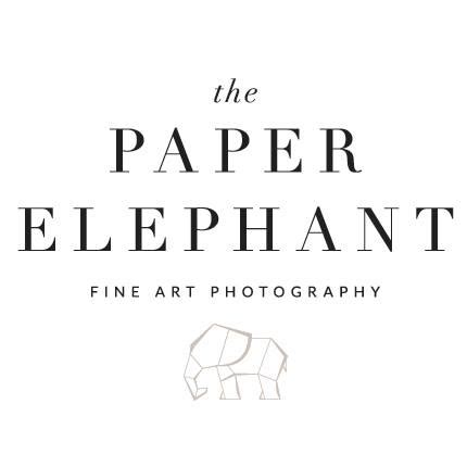 The Paper Elephant