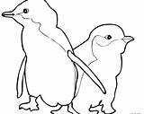 Adelie Penguin Coloring Page At GetDrawings  Free Download sketch template