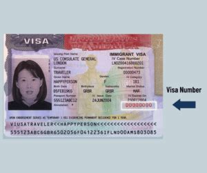 Find Your Visa Number on Your U.S. Visa in 2023 | VisaNation