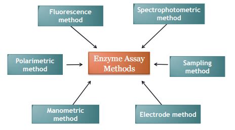 Enzyme Activity Assay Service | Enzyme activity assays | Medicilon Inc