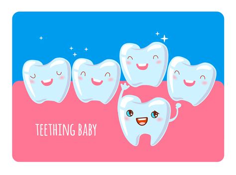 Eruption of a permanent tooth and loss of milk teeth. Children dental ...